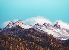 宁波男篮社媒分享祝福并配文:祝贺王凡懿升级奶爸